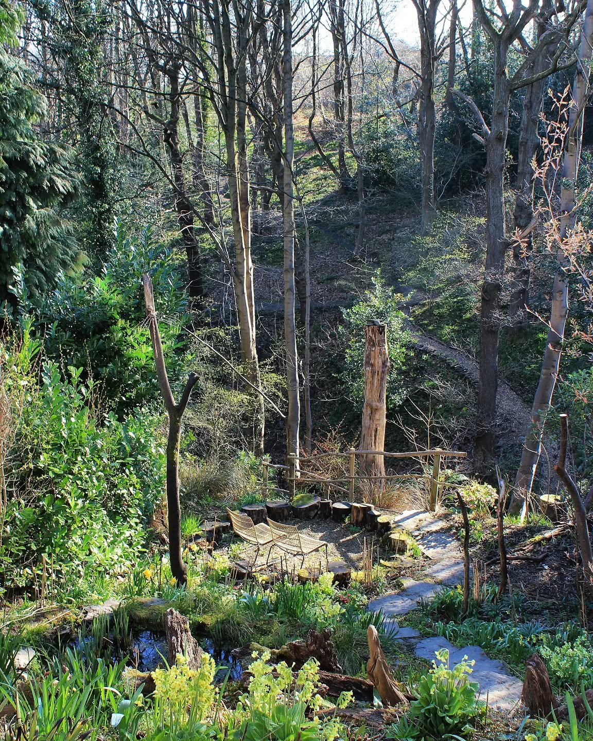 Looking out into the woods this morning. The garden's very low and open at this time of year while the perennials get going and before the trees come into leaf.
.
.
#woodlandgarden #woodlandedge #primulaelatior #perennialgarden
