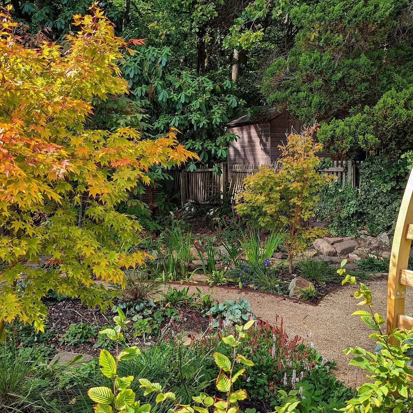 Visiting a garden I made in spring to see how it's doing. Obviously it's been a tricky year for establishing new planting but I was happy to see it's being cared for and coming on nicely 😁. Check out the last photo to see what it looked like before.