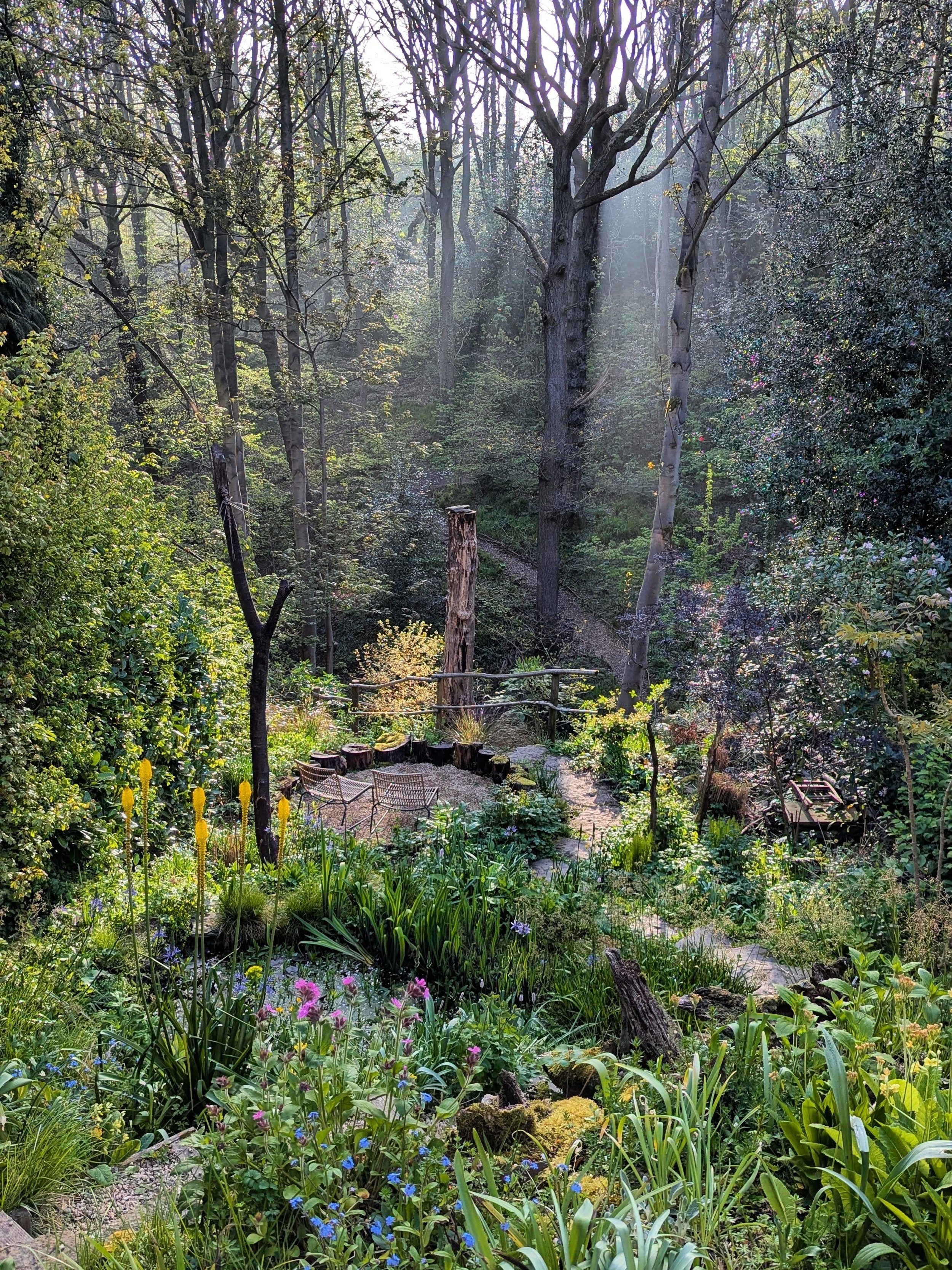 Home garden in the spring light this morning.