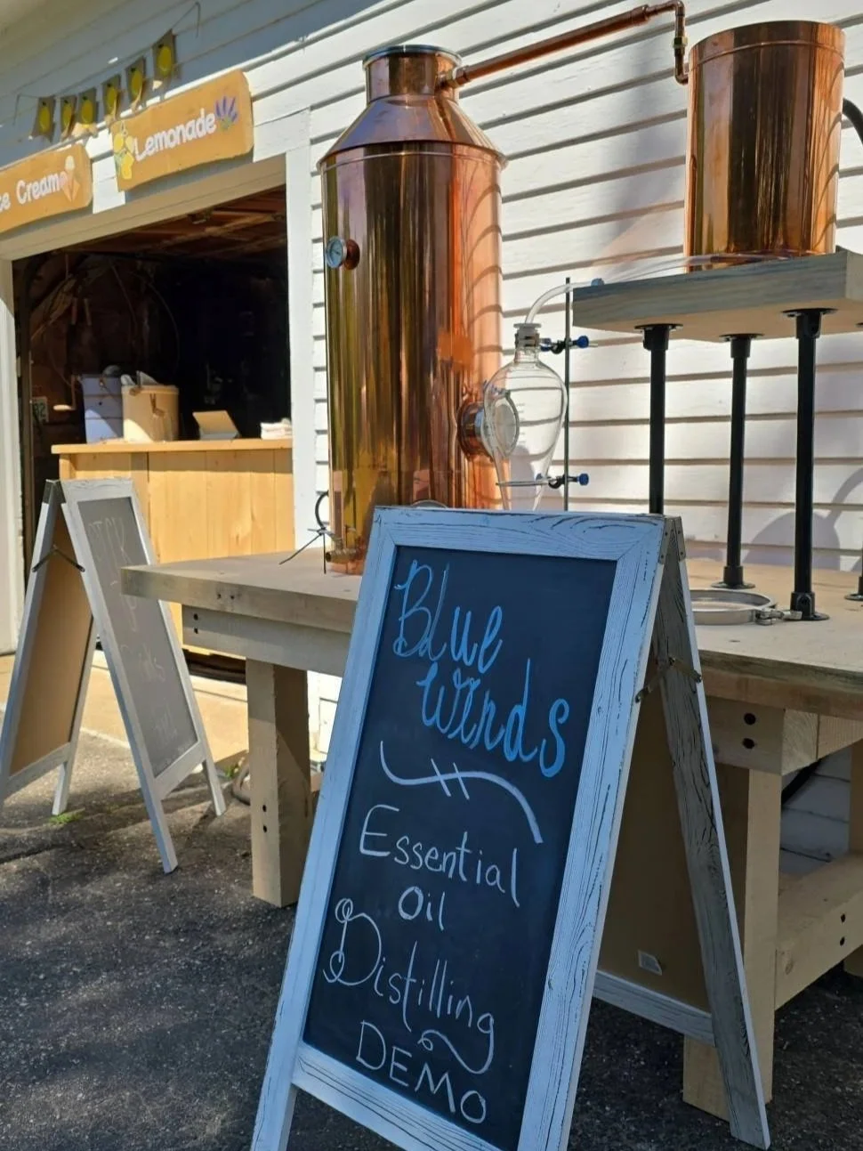 Lavender Essential Oil Distilling Weekend