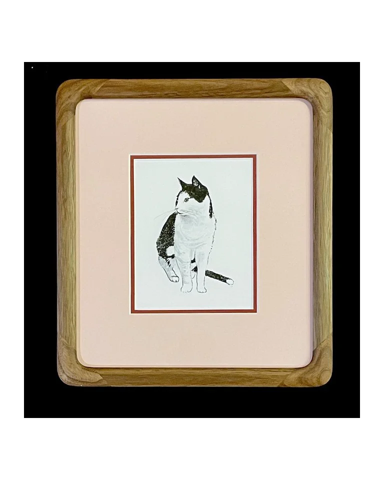 picture frames