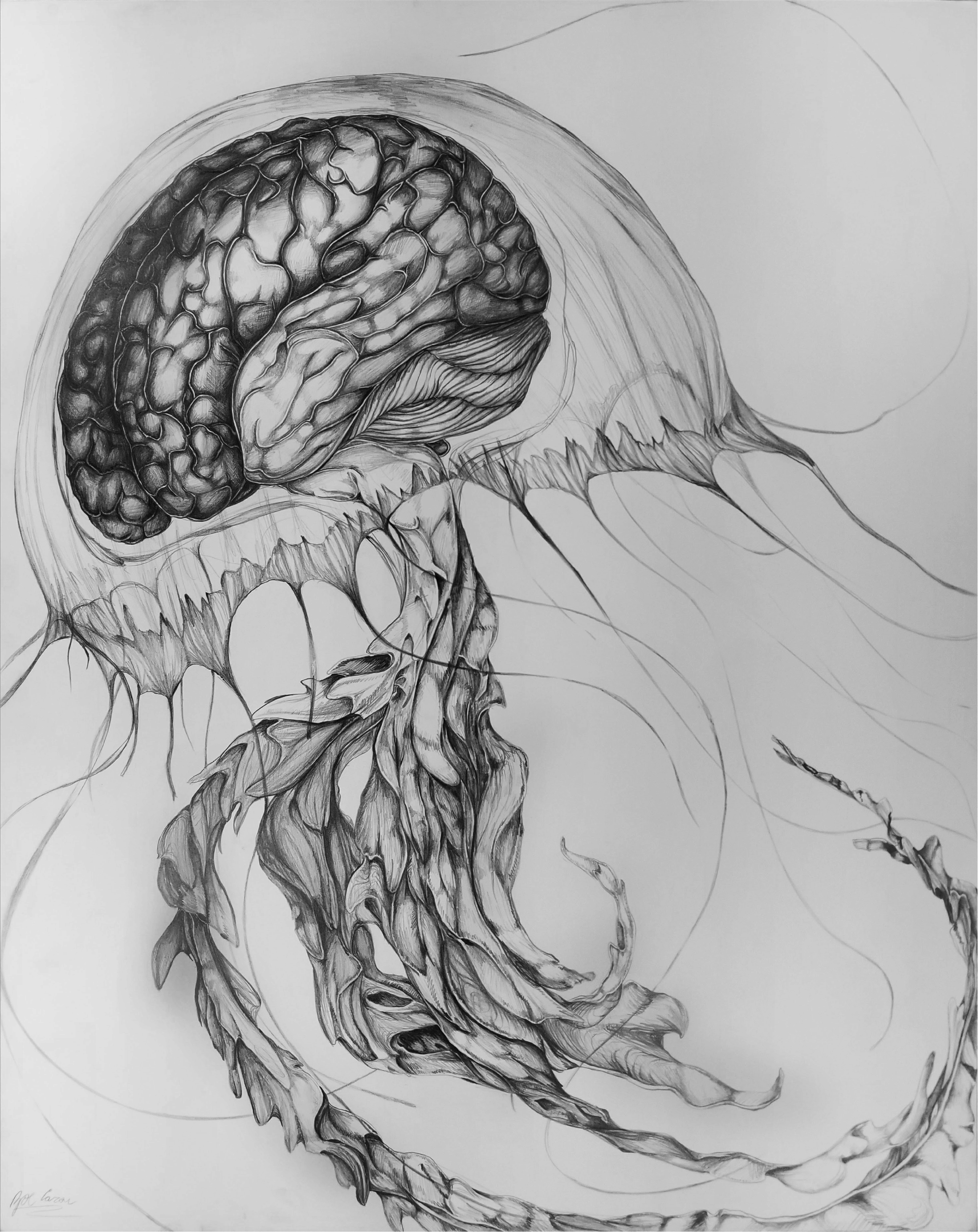 Deep_Thought_ZRC_2024_MindMapping_v2 (2).png