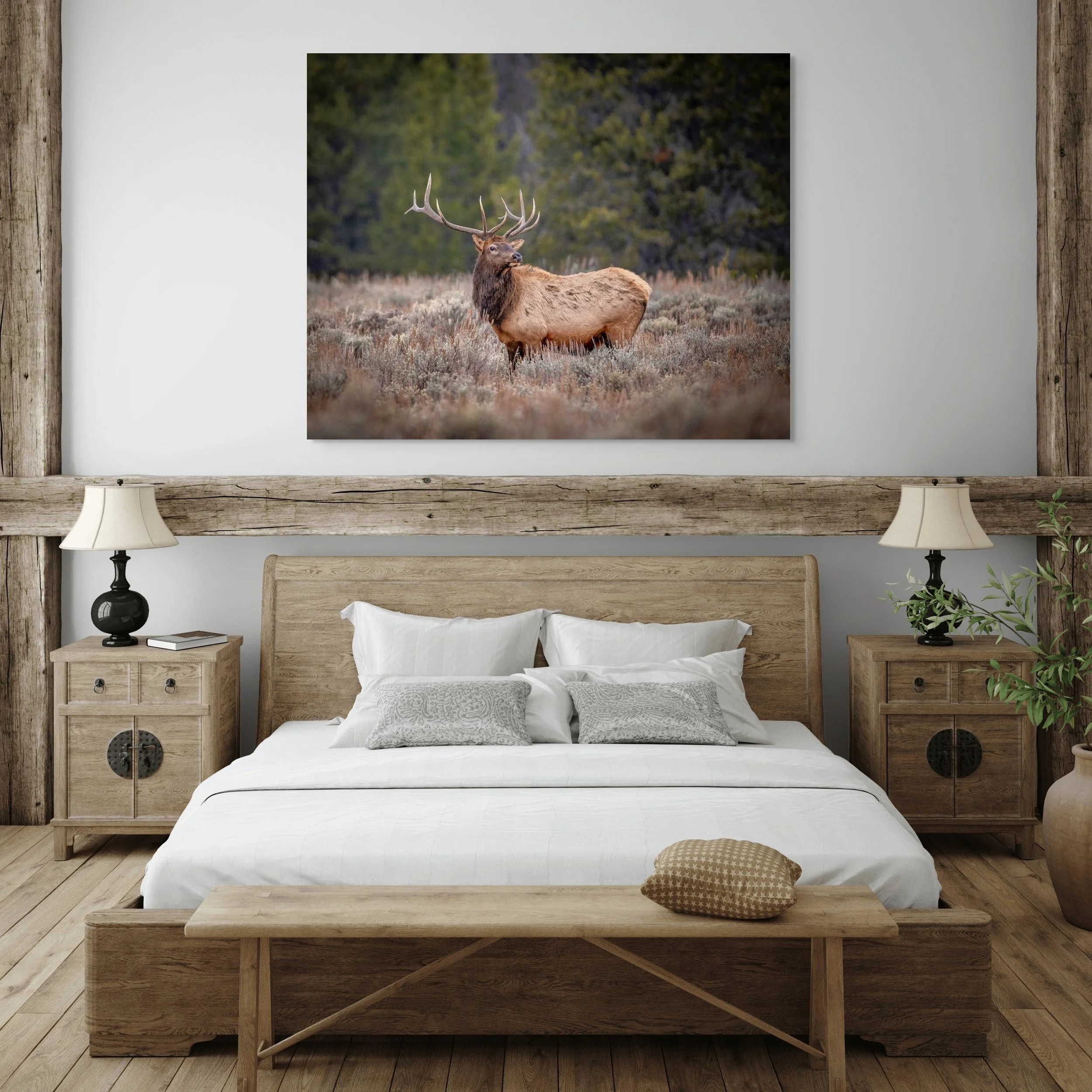 autumn_elk___room.jpg
