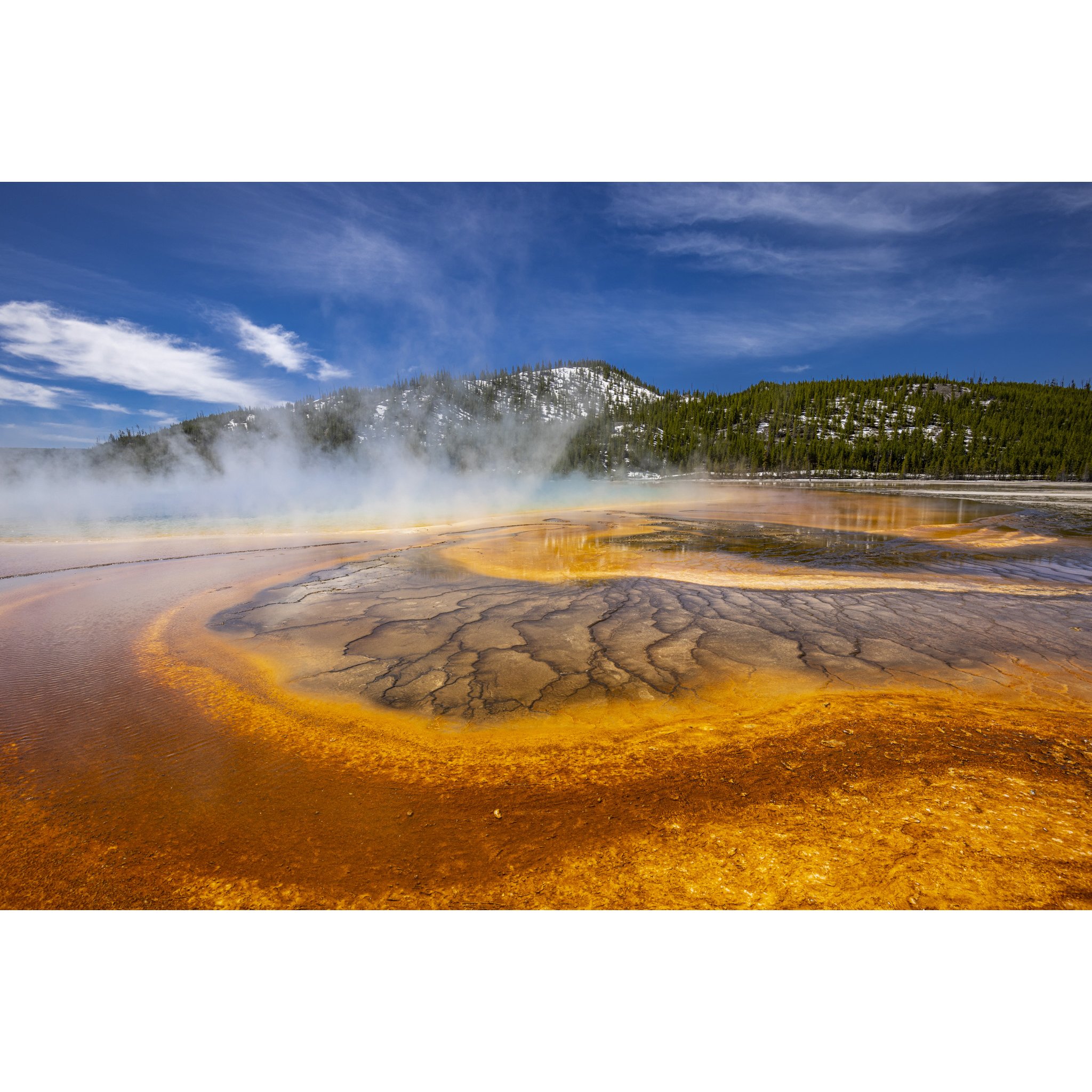 Grand Prismacolor.jpg