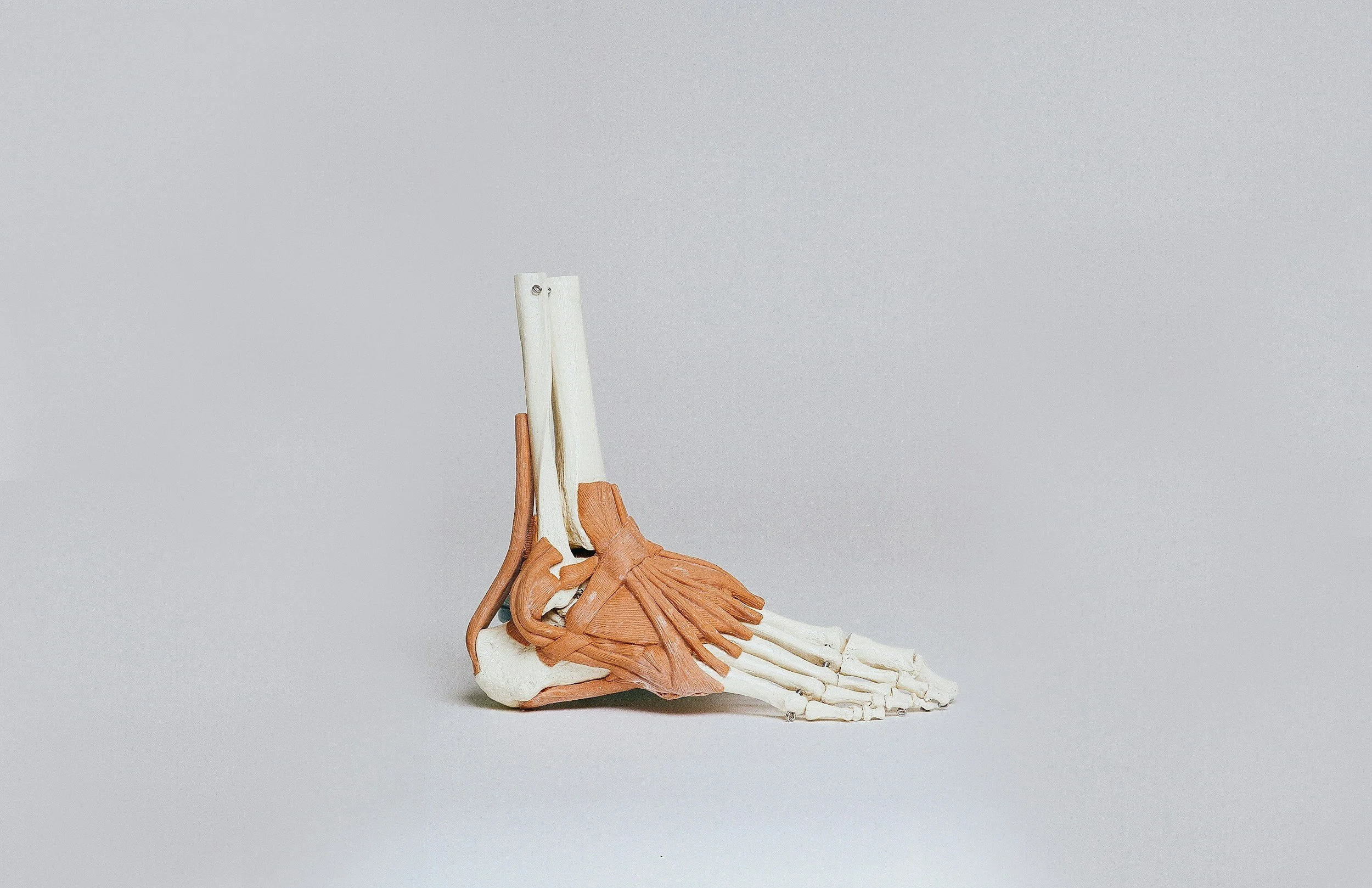 Why Ankle Range of Motion Matters