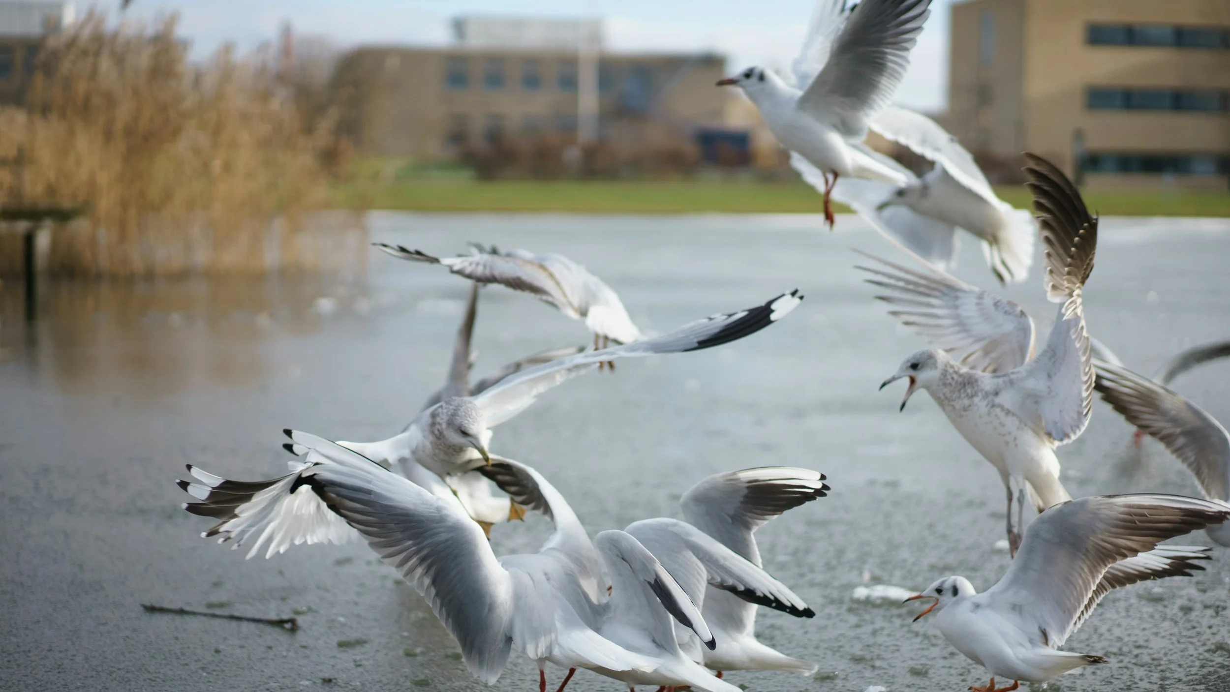 Autonomic Dysfunction: When the Nervous System Has Trouble Returning to Recovery