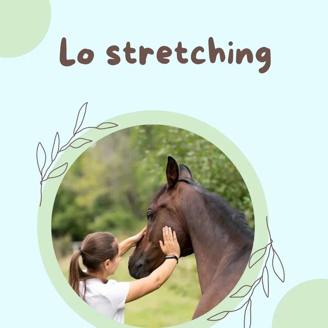 ❓ 𝐋𝐨 𝐬𝐚𝐩𝐞𝐯𝐢 𝐜𝐡𝐞 𝐞𝐬𝐢𝐬𝐭𝐨𝐧𝐨 𝐝𝐮𝐞 𝐭𝐢𝐩𝐢 𝐝𝐢 𝐬𝐭𝐫𝐞𝐭𝐜𝐡𝐢𝐧𝐠? 

Lo stretching attivo che &egrave; quello che il cavallo fa attivamente durante il movimento, in particolare negli esercizi di flessione ed estensione 
E lo stret