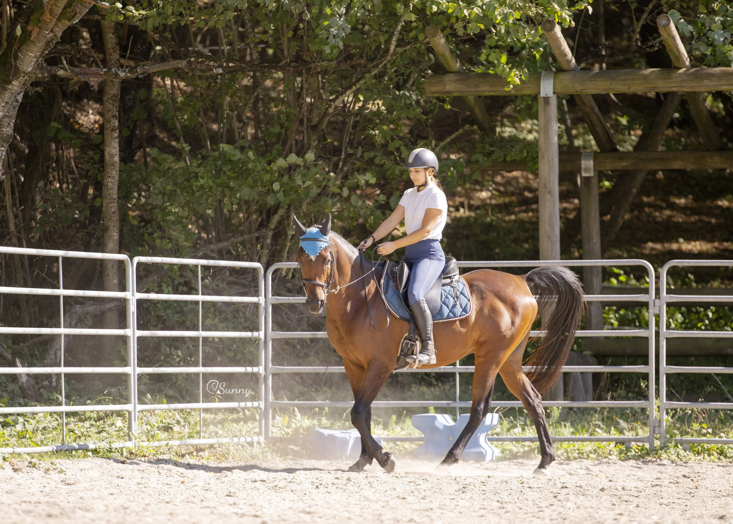 L’ASSETTO DEL CAVALIERE: una sottile comunicazione col cavallo