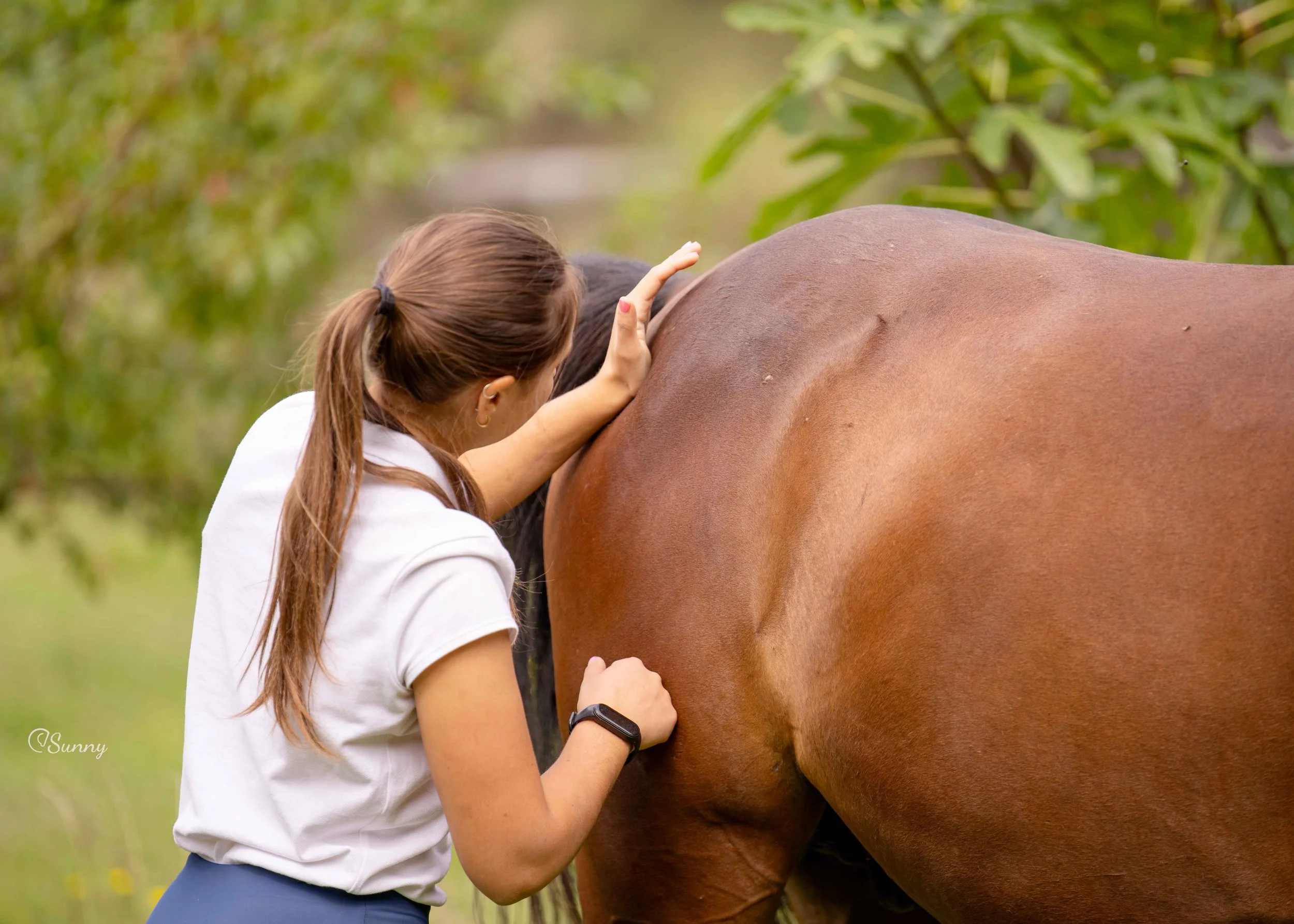 Massaggio e posturologia