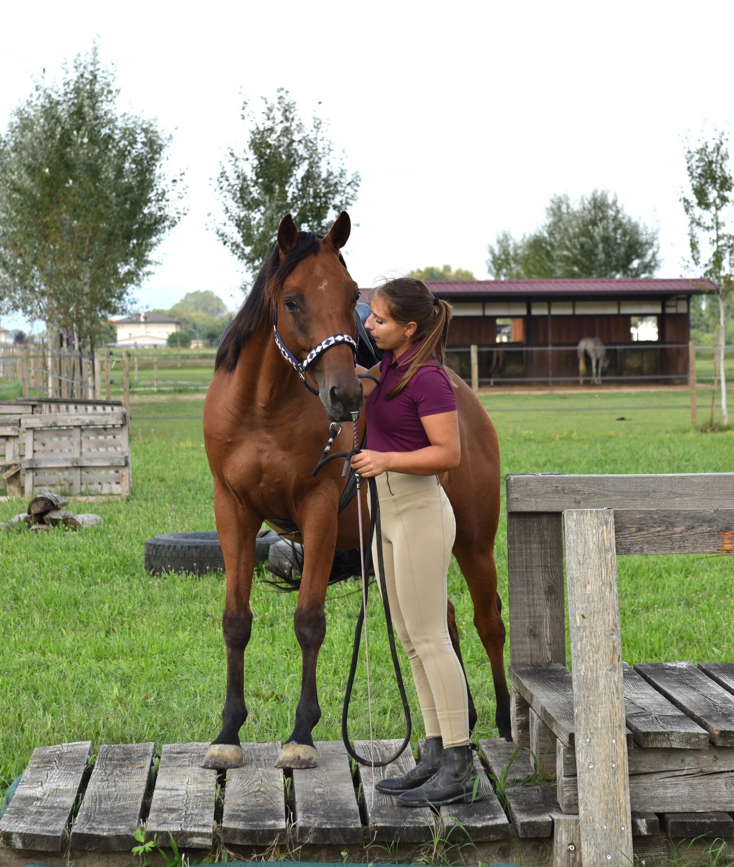 SETTIMANA FULL IMMERSION LUGLIO