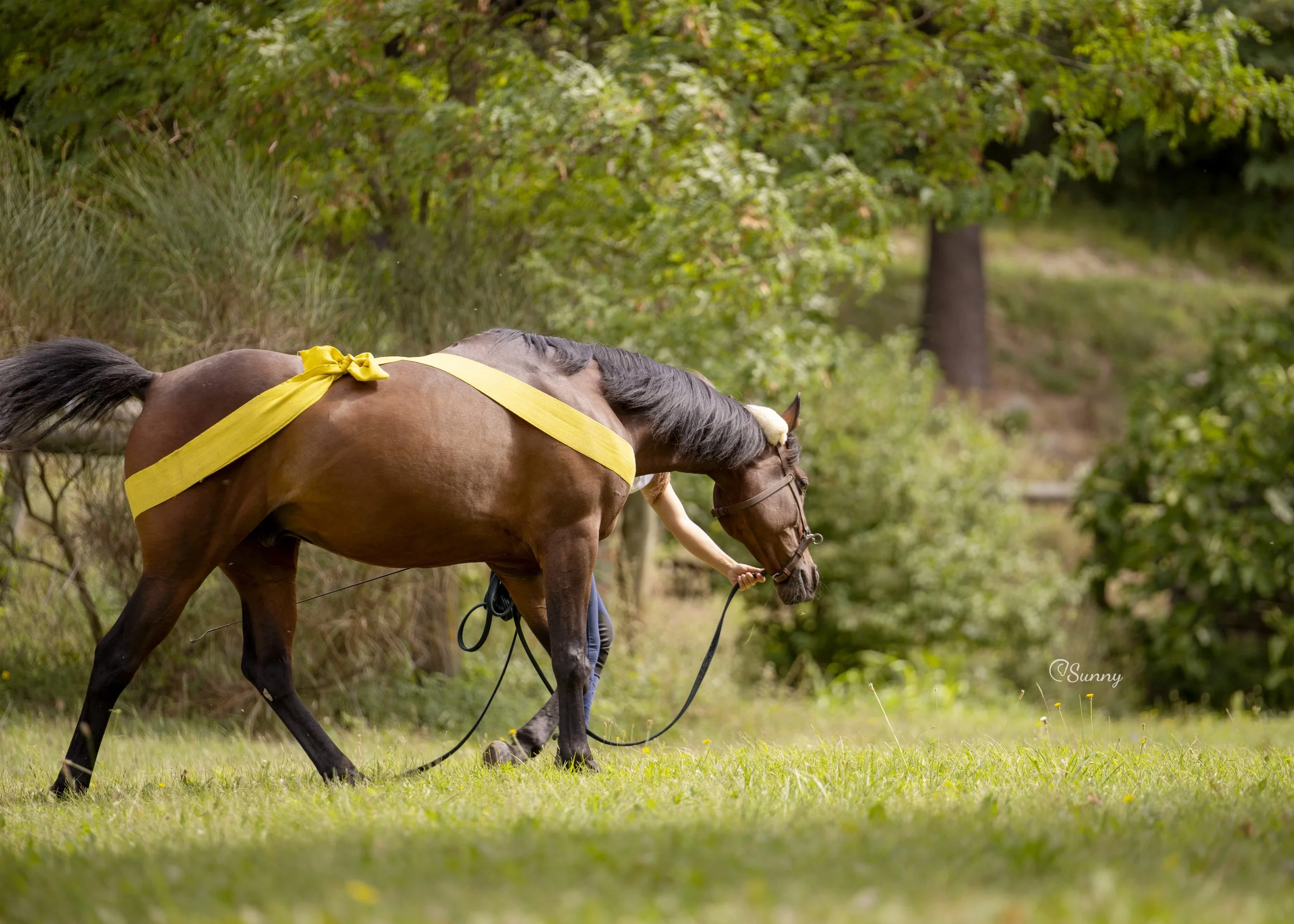 SETTIMANA FULL IMMERSION AGOSTO