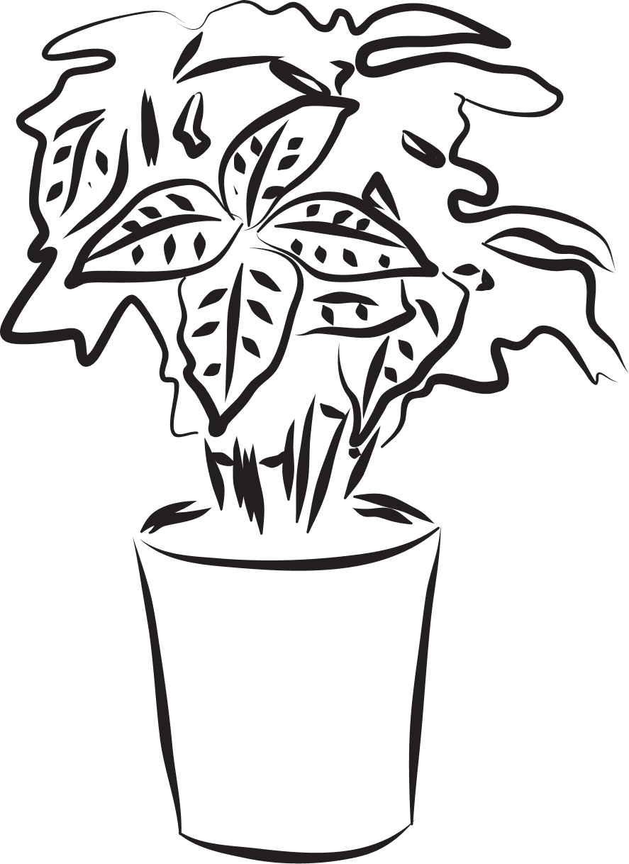 Outline drawing of a potted houseplant with large leaves.
