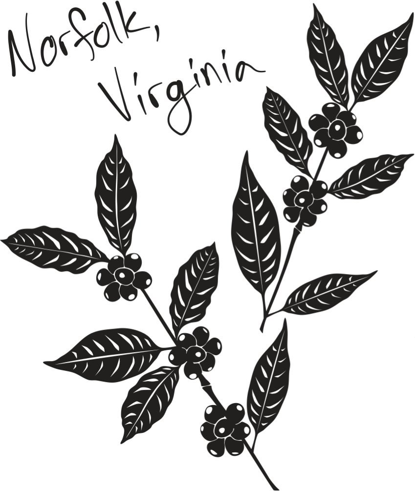 Illustration of black coffee plant with leaves and berries, labeled Norfolk, Virginia