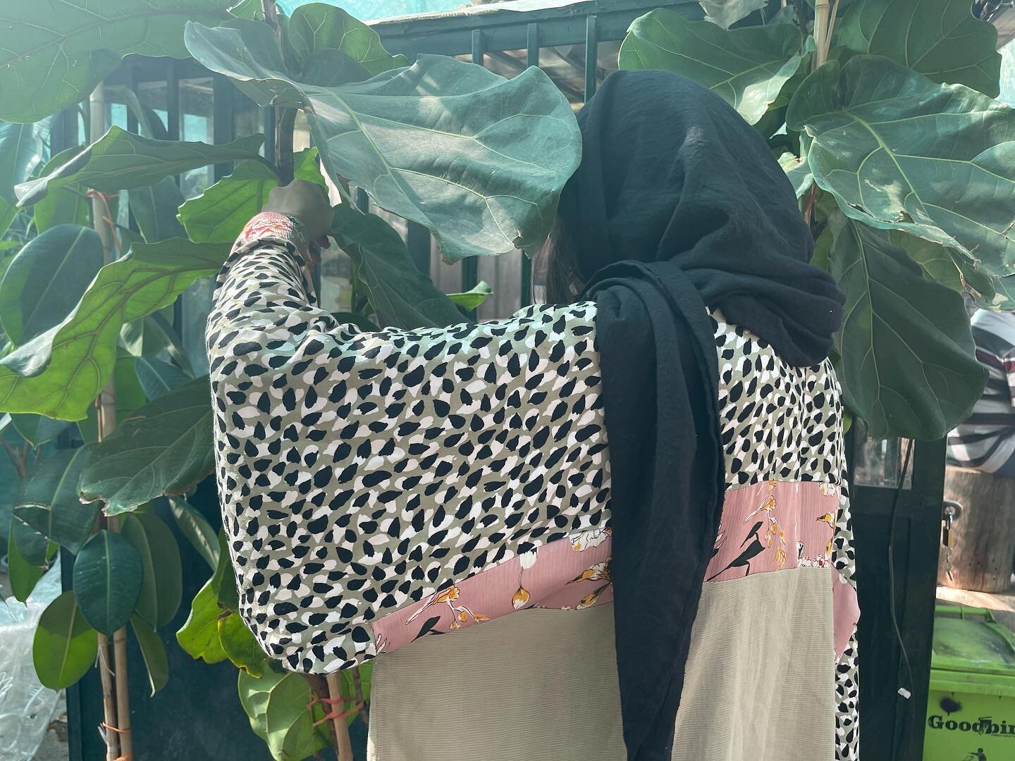 Gol-kimono

موجود🏃🏻&zwj;♀️