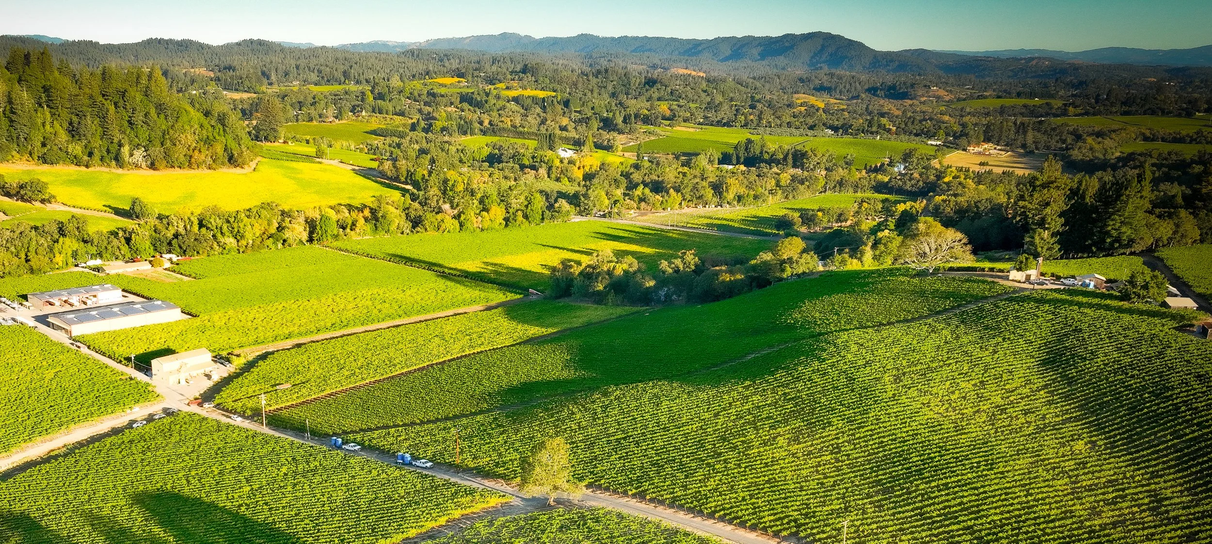 Green Valley v2 Homepage.jpg