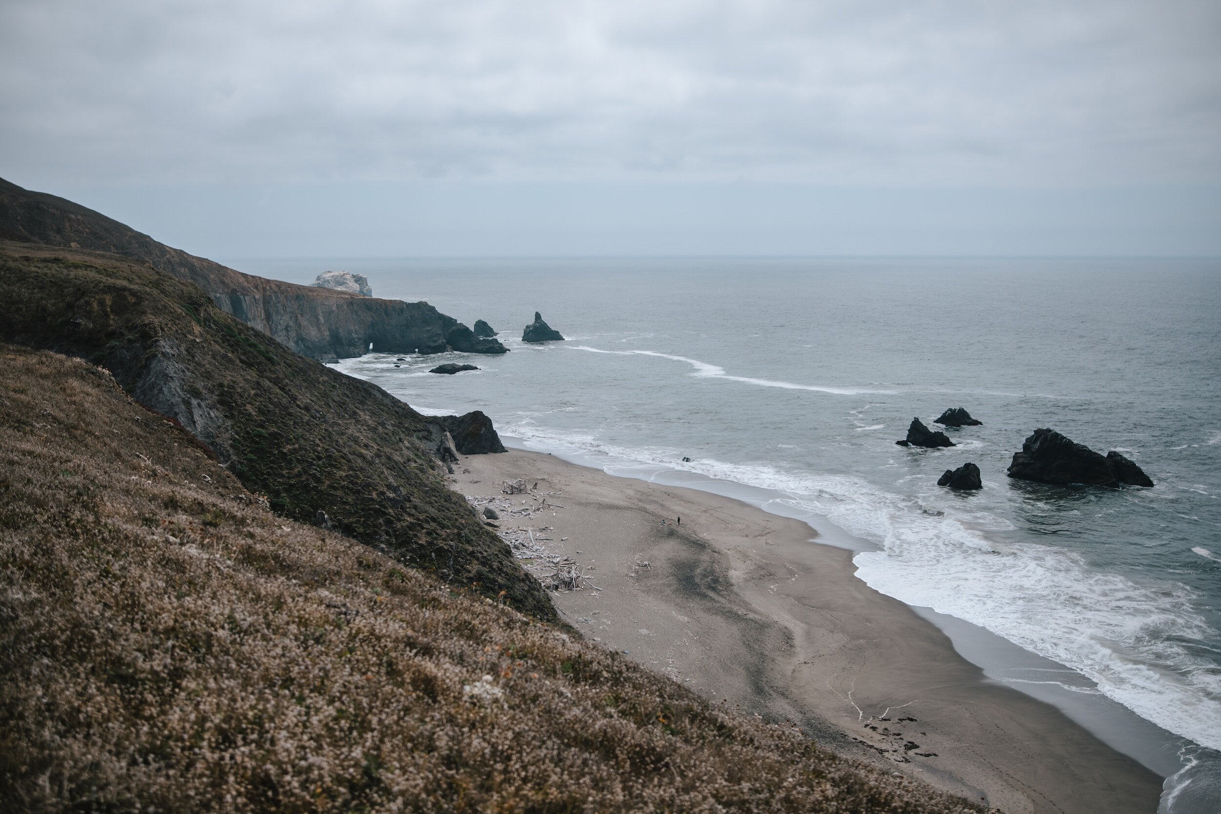 Sonoma Coast