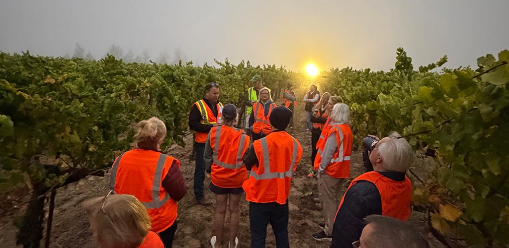 A Day in Our Boots: Harvest Camp Returns for Year Two