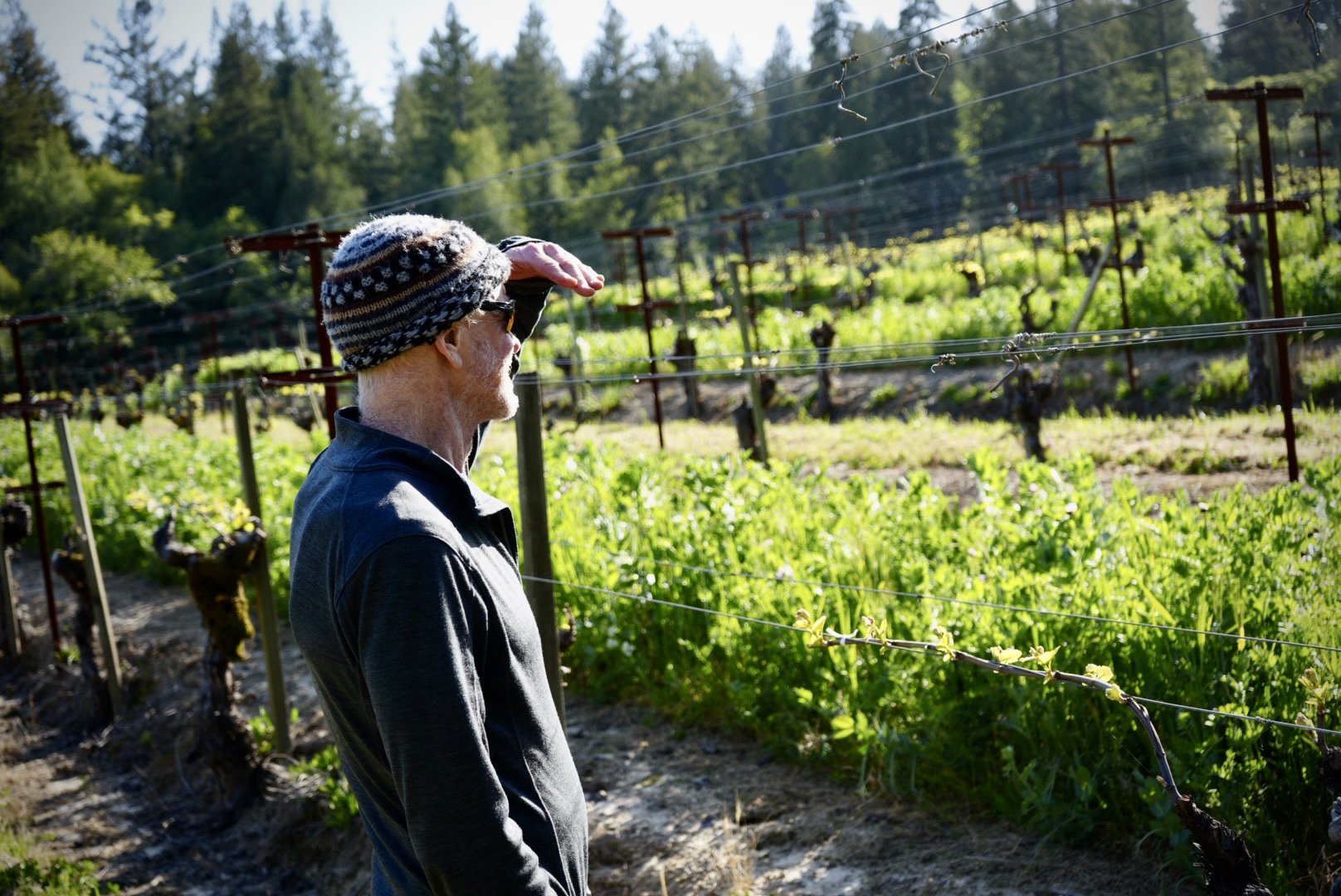 Dan at Rued Vineyard