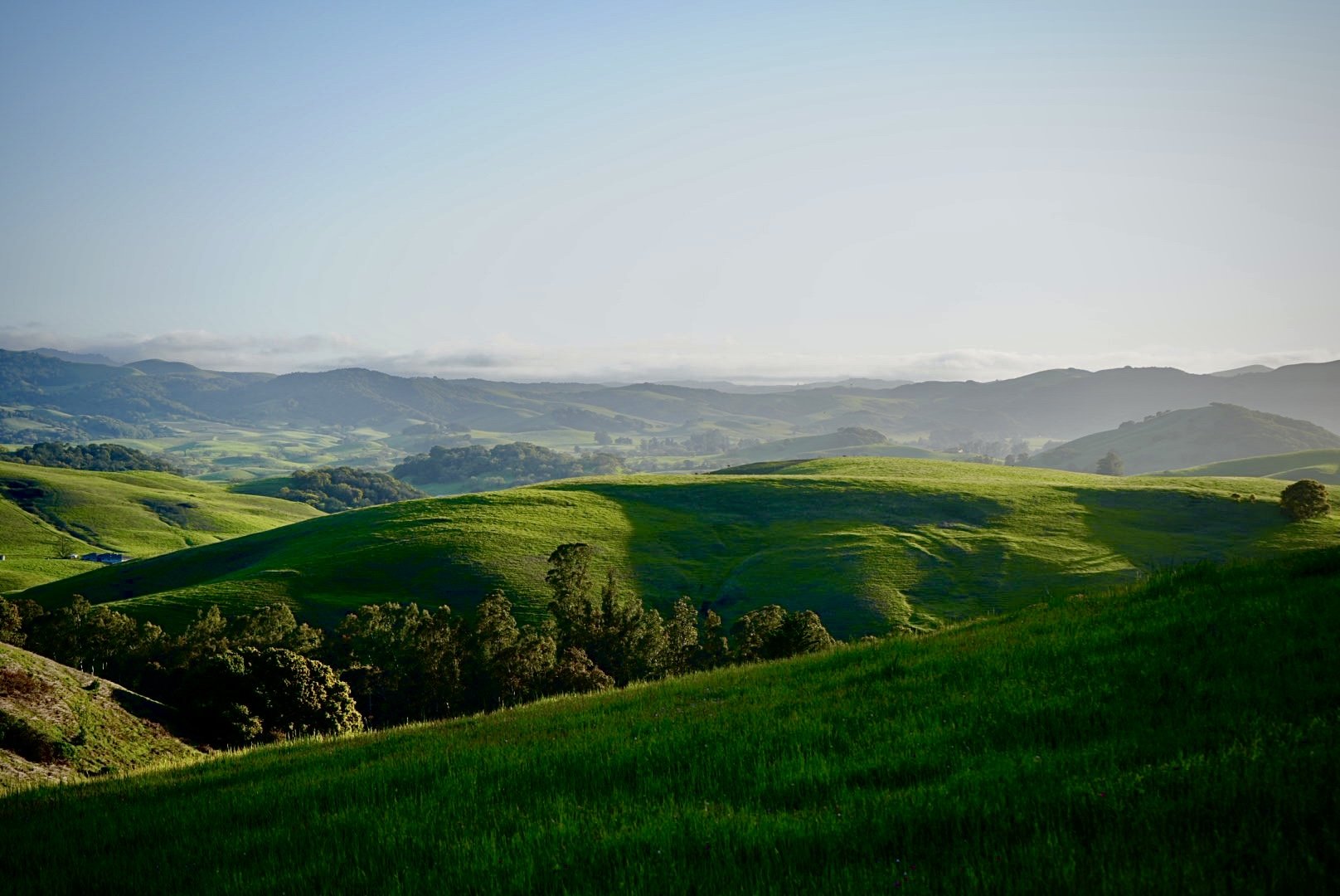 Petaluma Gap looking towards Marin