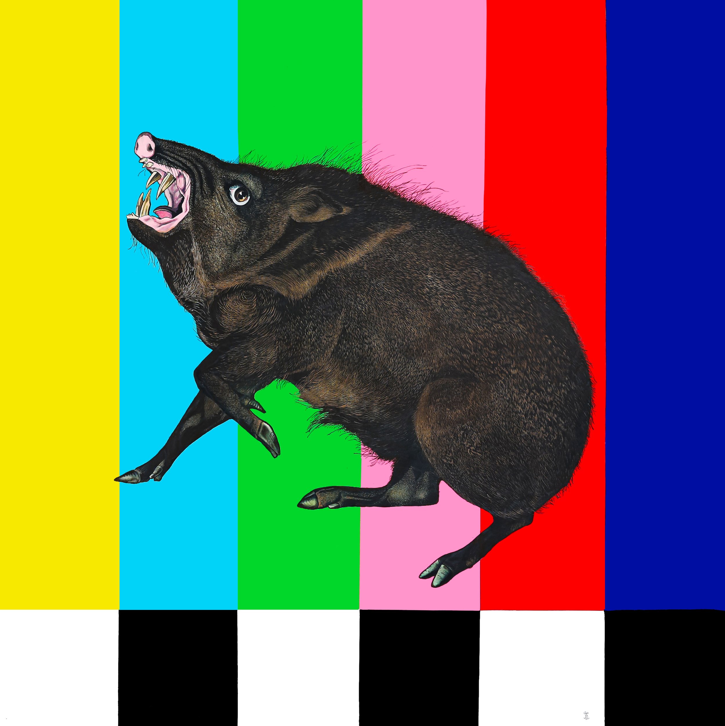 test pattern javi color edit.jpeg