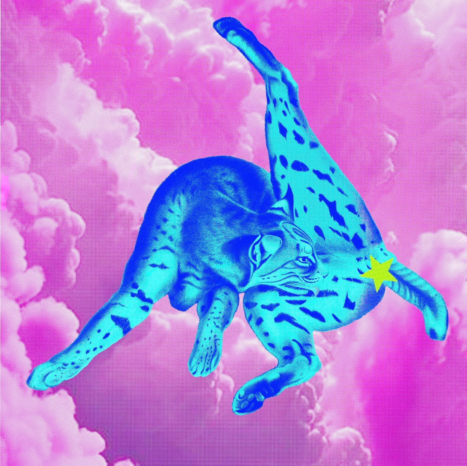 76B961F1-9148-4685-A167-59200F7744CC.jpeg