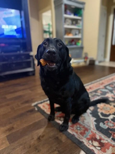 Vader