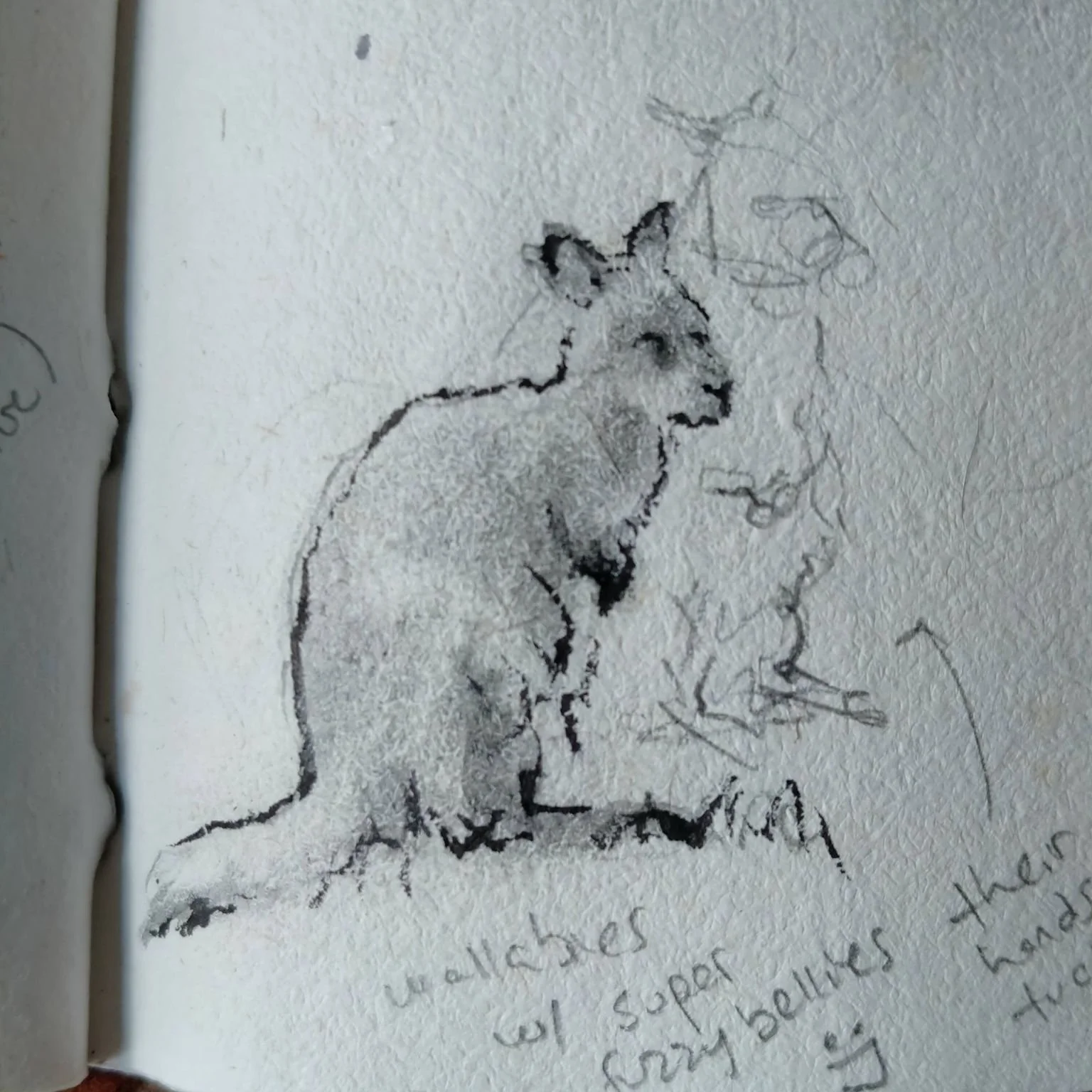 I had an afternoon free in Amsterdam, so I checked out the Artis zoo.  It was super charming, and some of the animals even stayed still for a portrait!

Also, the zoo has the cutest little strollers, complete with their own parking stands (last pictu