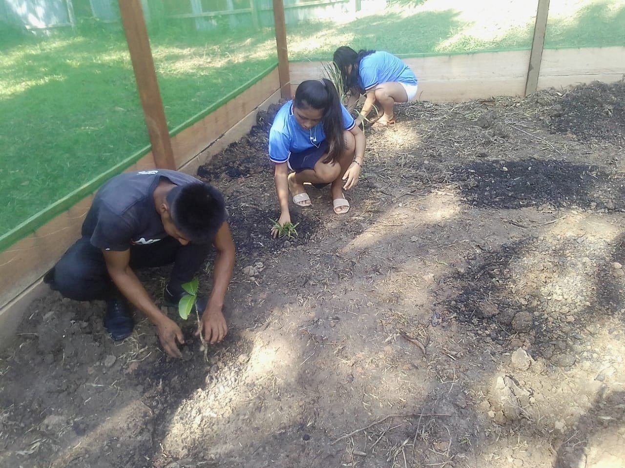 planting.jpg