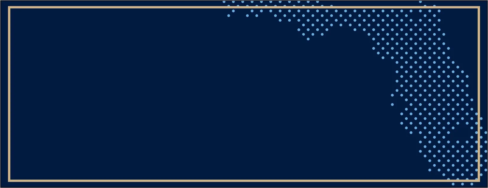 TPDA Website Splash2.jpg