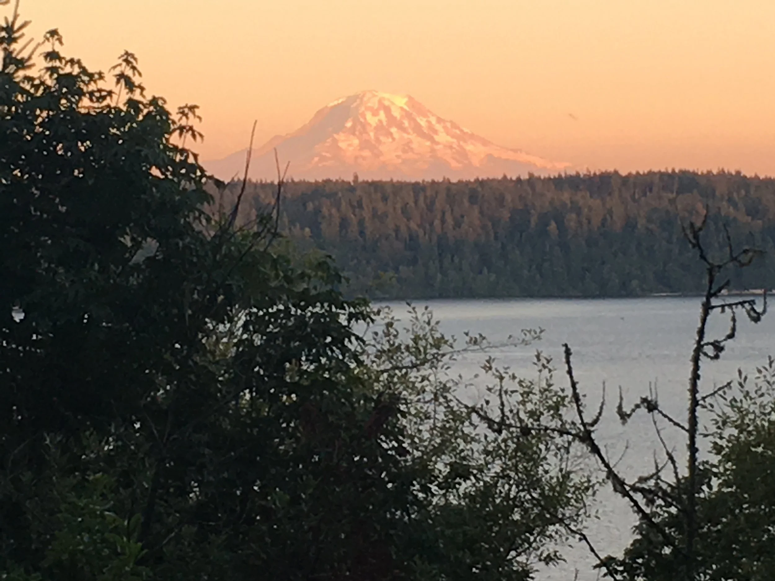 The view from Gig Harbor home