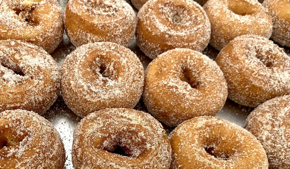 HotE-apple_cider_donuts.jpeg
