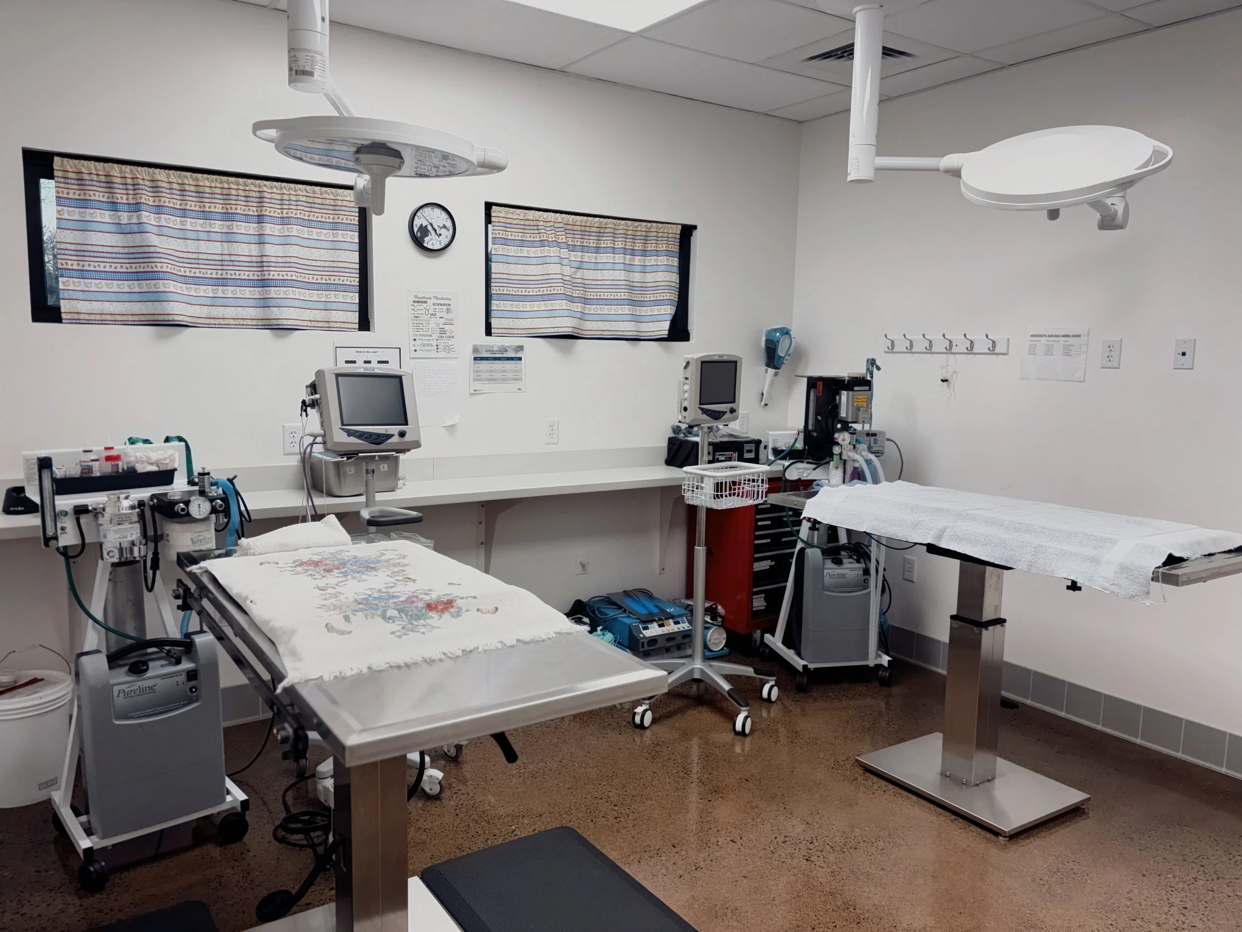 Surgery Suite.jpeg