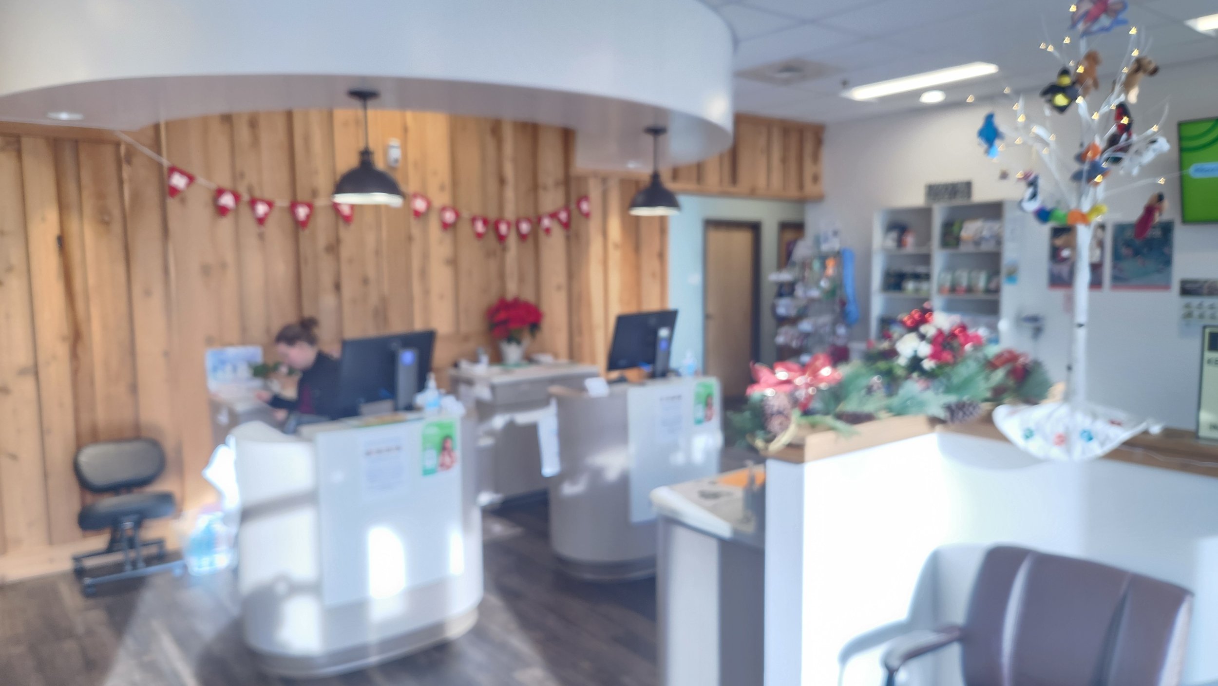 Lobby from cat entrance door.jpg