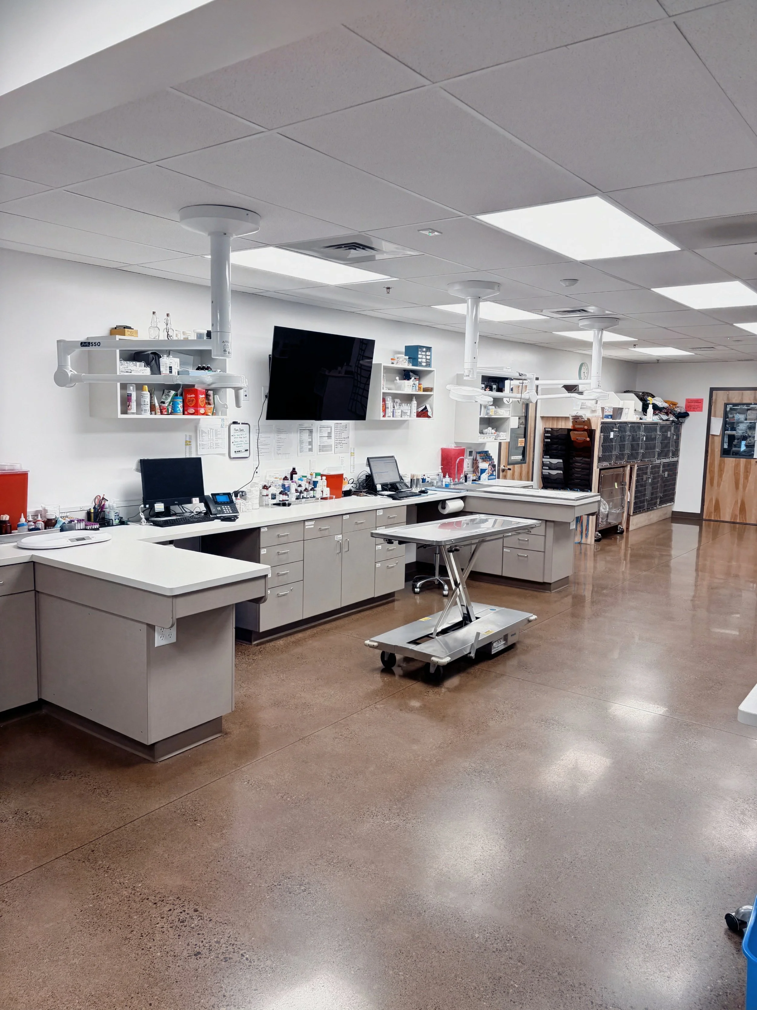 Treatment from staff entrance door.jpeg