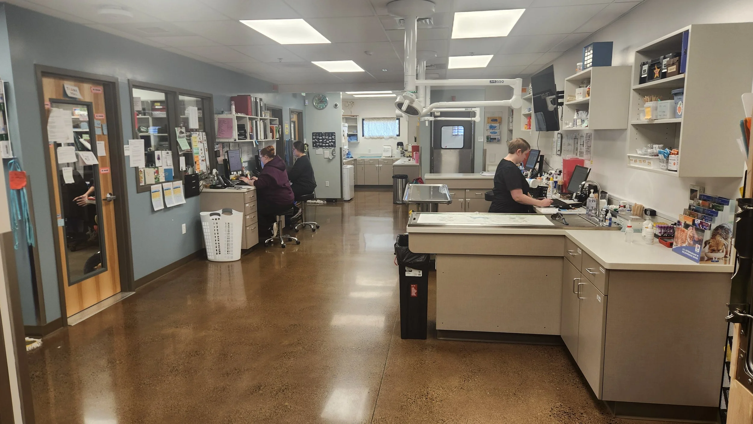 Treatment from ICU area.jpg