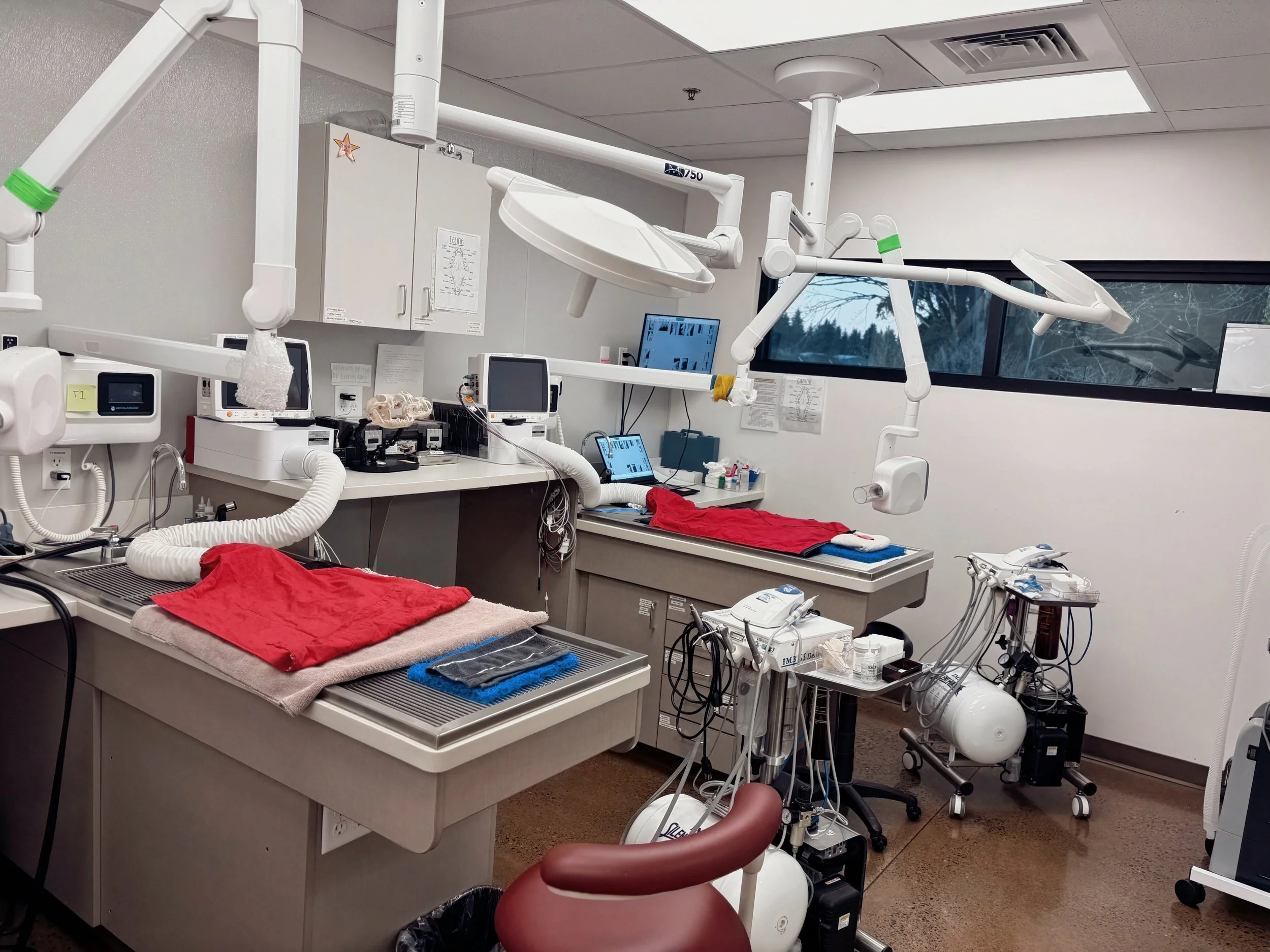 Dental Suite 2.jpeg
