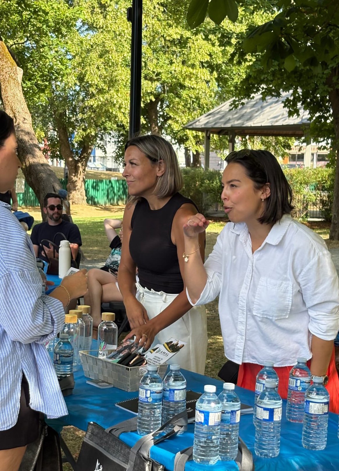Spotlight on T.E.A (Technology, Engineering &amp; Arts) in the Park 2026