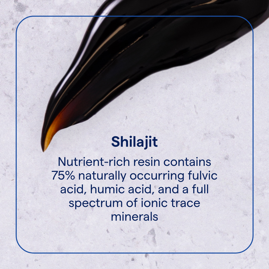 SHR01 Shilajit_Resin_KeyIngredients.png