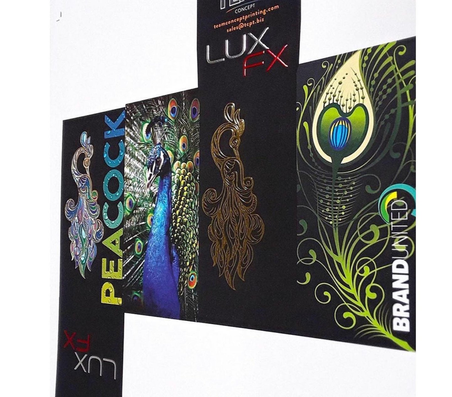 Full Color promotional marketing piece highlighting TEAM's Luxfx special effects that include spot UV, metallic foil stamping and more.