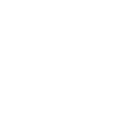 TEAM Partner, Ivy Hotel in Chicago