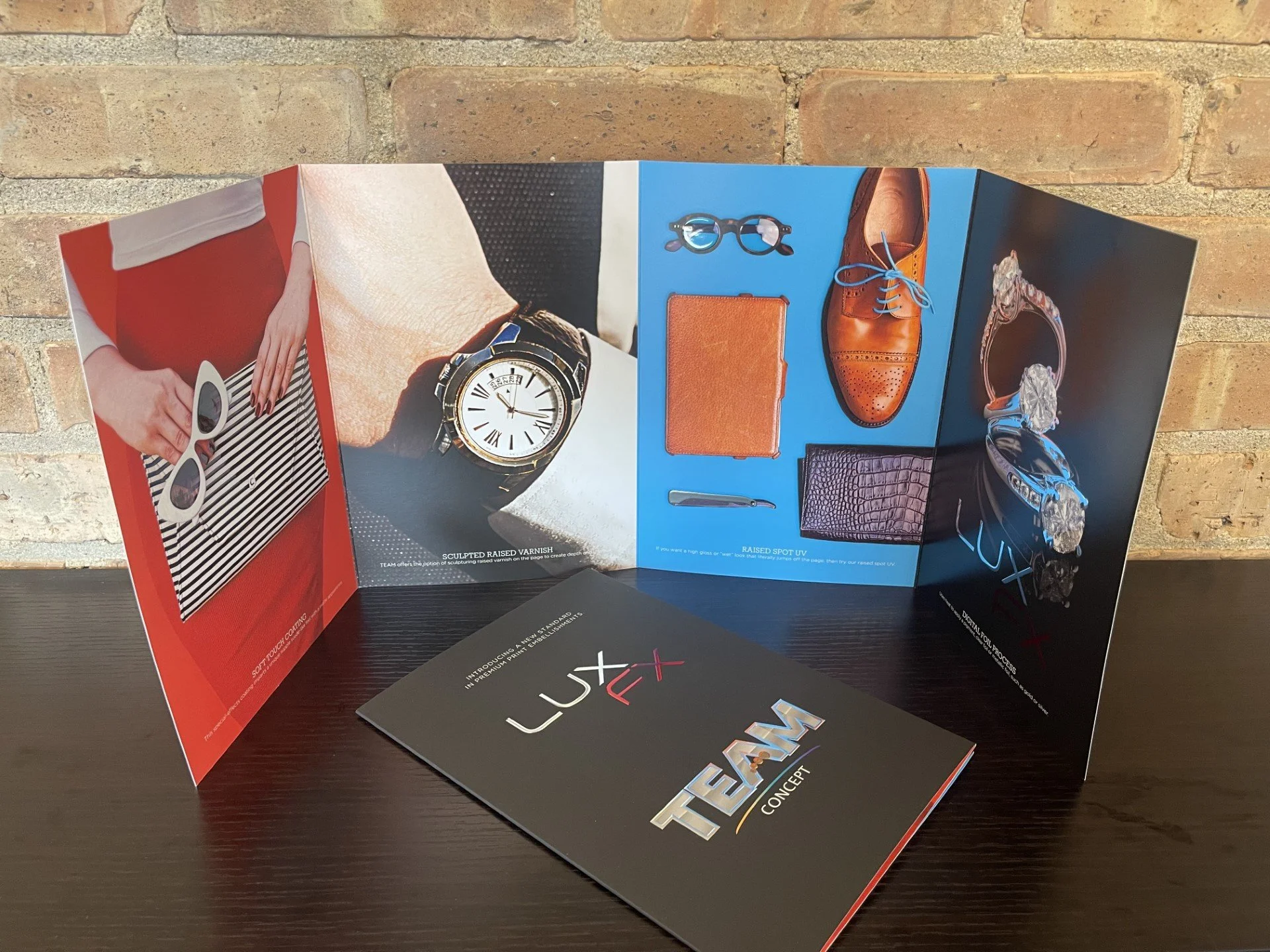 LUXfx Exclusively at TEAM Concept Printing in Chicago Brochure showing a shoe and jewelry that appears to pop-off the page