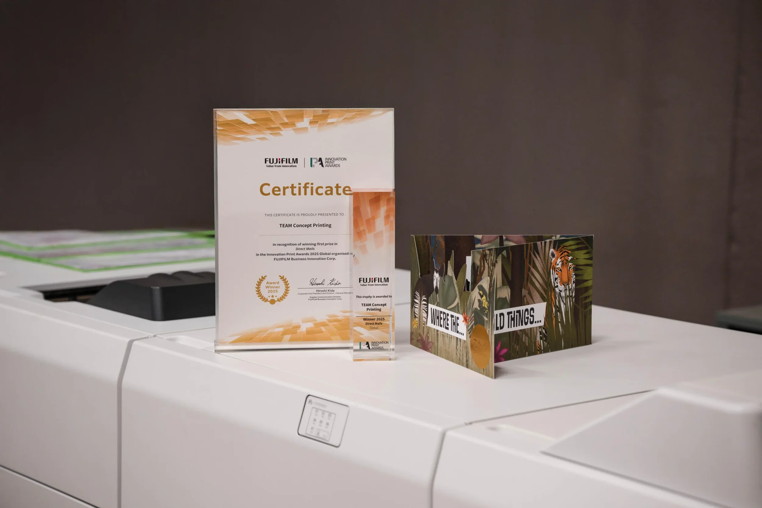 2025 Innovation Print Award (IPA) in the Direct Mail category