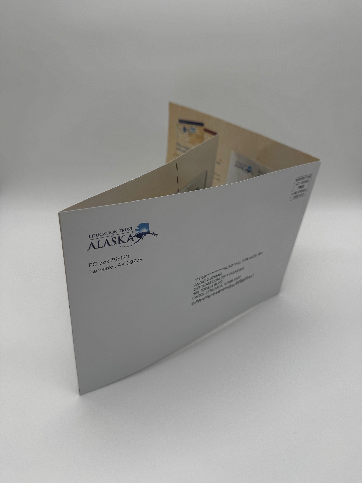 Custom Postcards with Special Effects Printed by TEAM Concept Printing near Chicago, IL