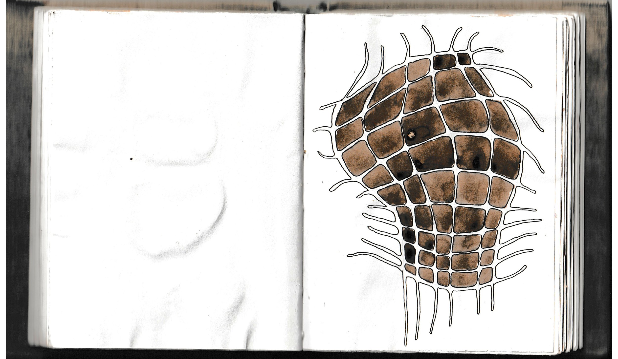 JPEG image-C33023EB9A3B-36 copy.jpg