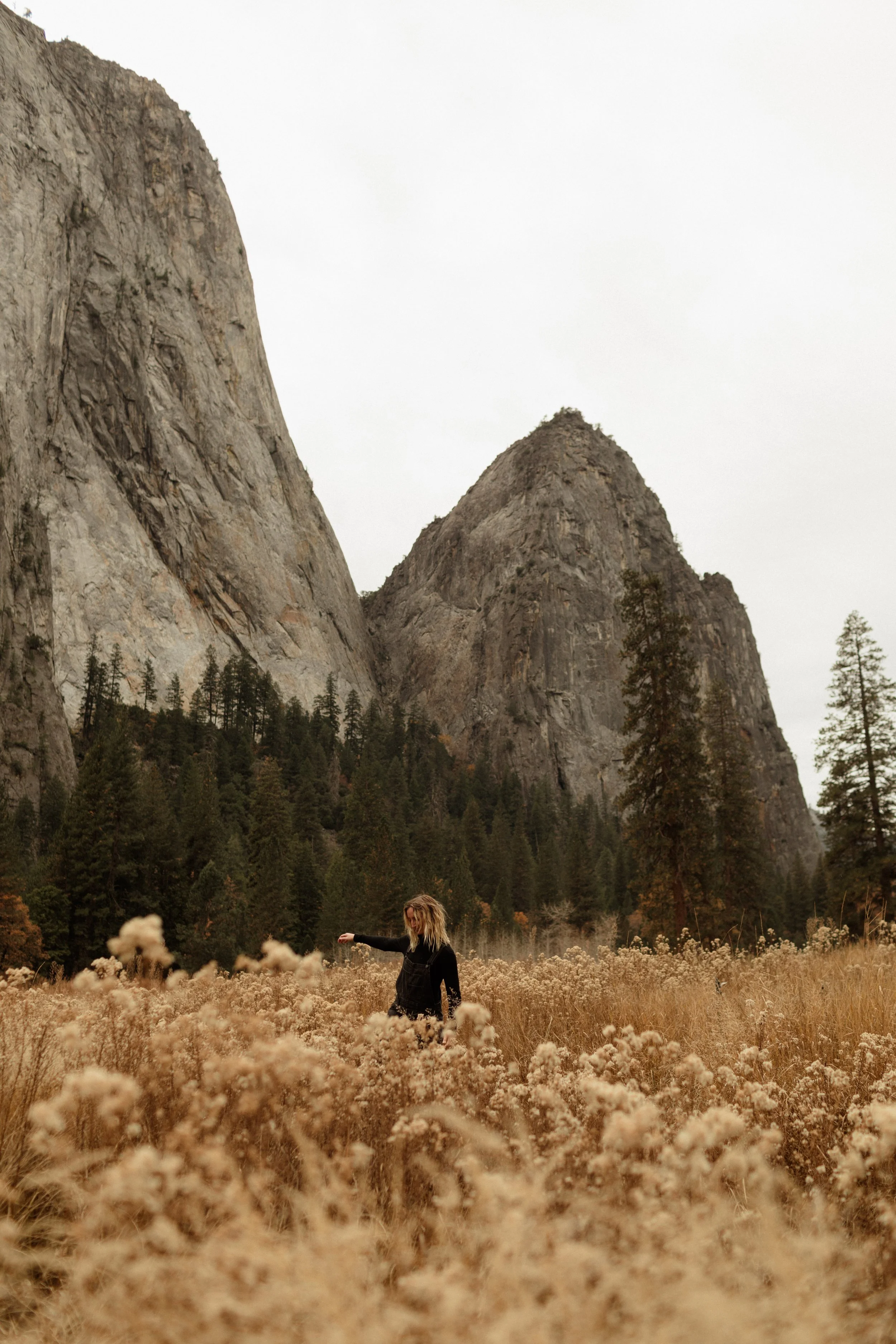 yosemite-22.jpg