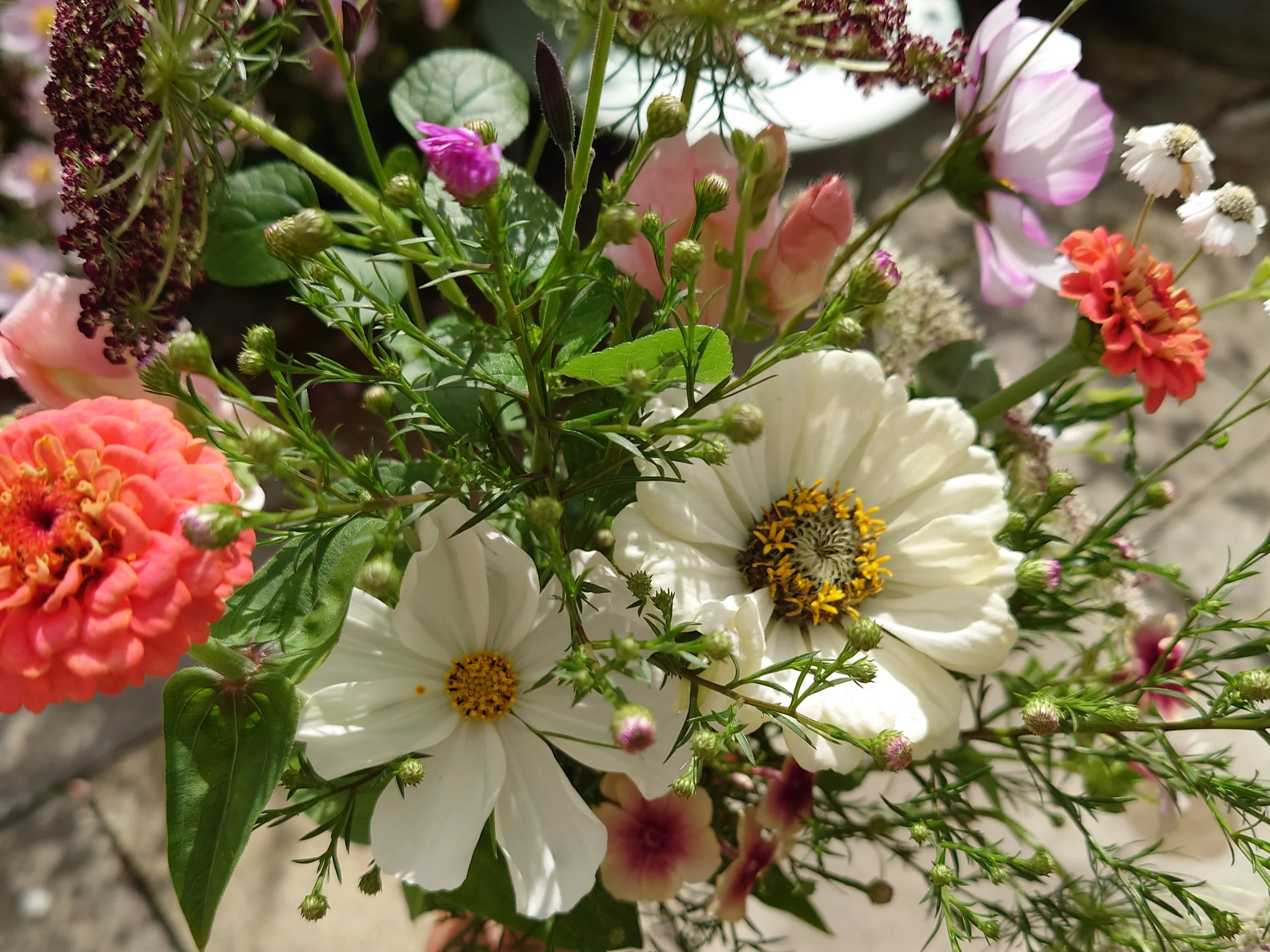 Close-up of a bouquet of various colorful flowers, including white, pink, and orange blooms with green leaves and buds.