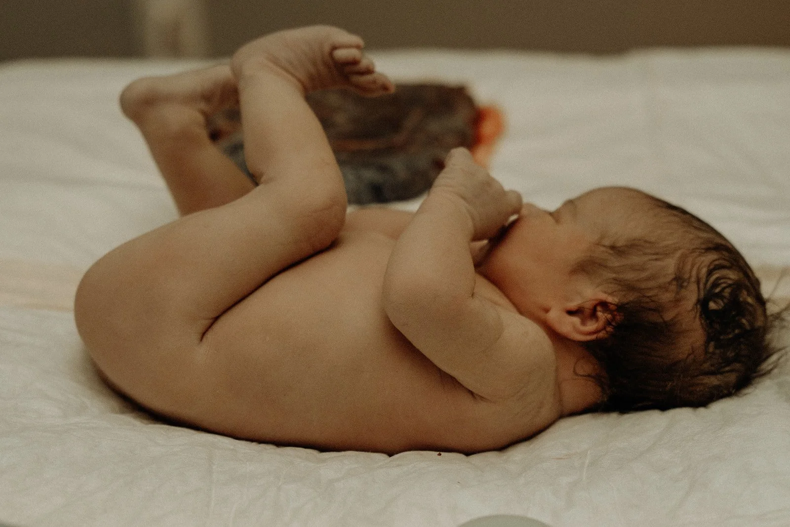 Sparrow Birth40.jpg