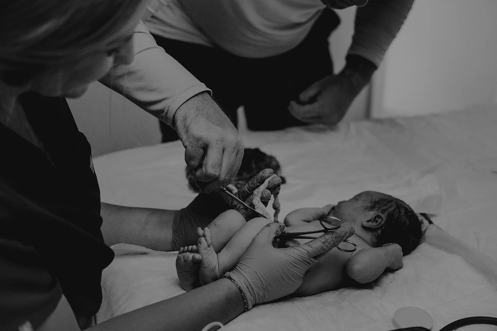 Sparrow Birth44.jpg