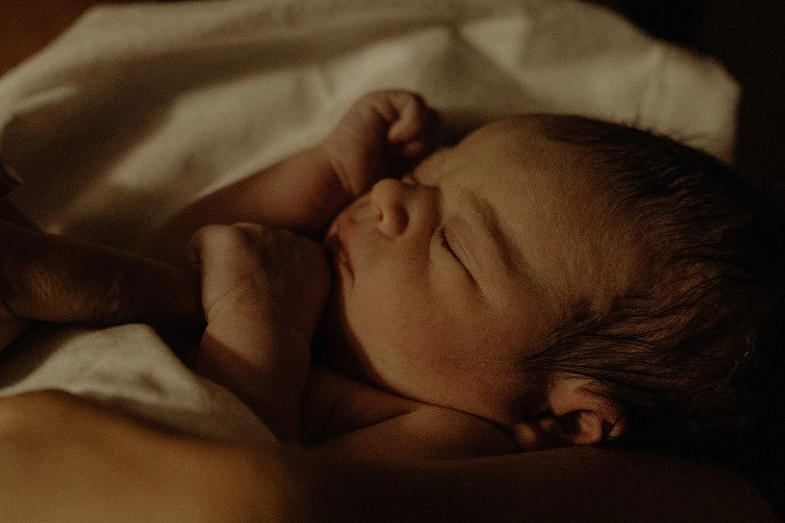 Sparrow Birth15.jpg