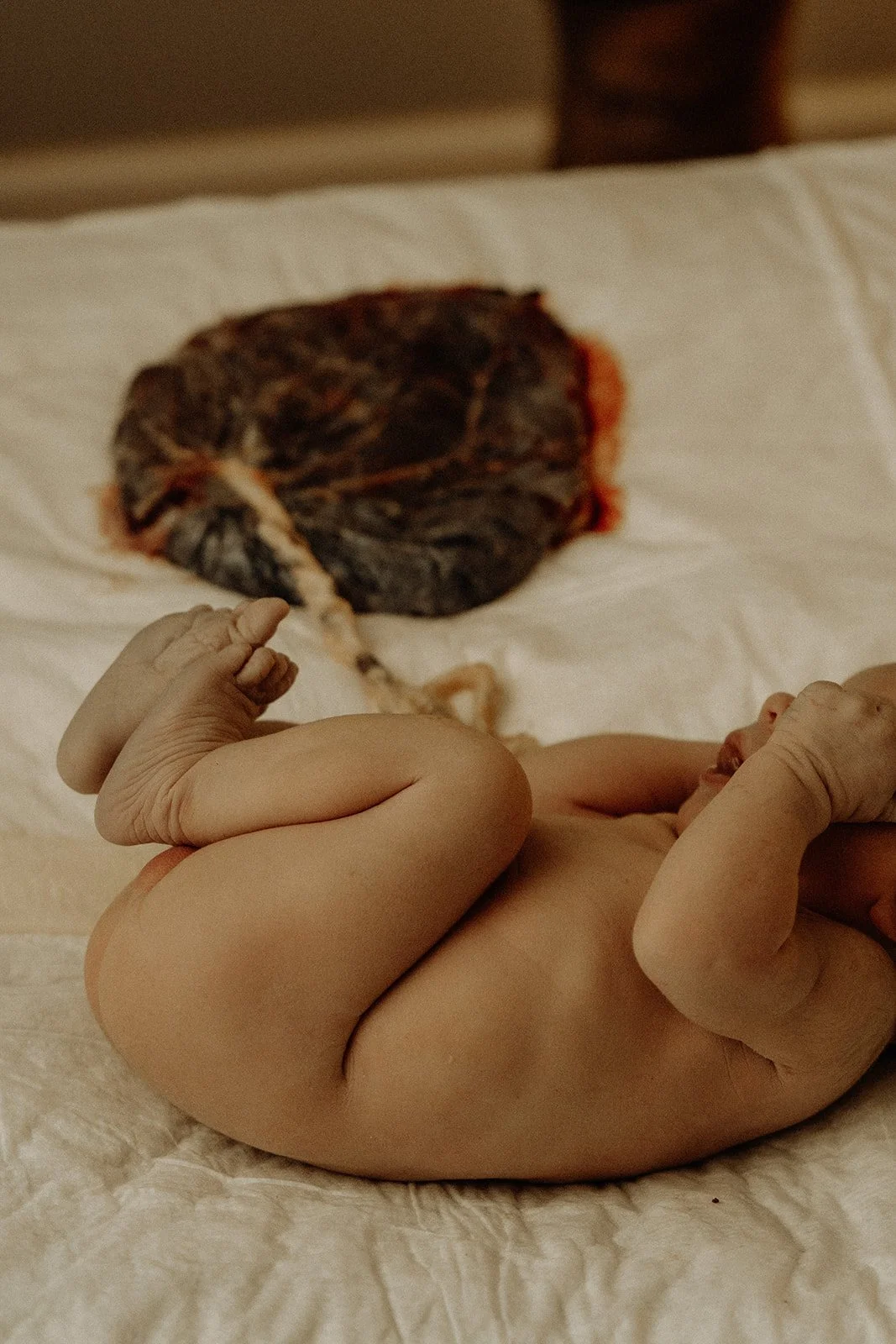 Sparrow Birth39.jpg